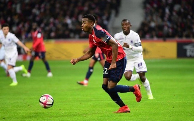 尊敬的教练 尊敬的教练